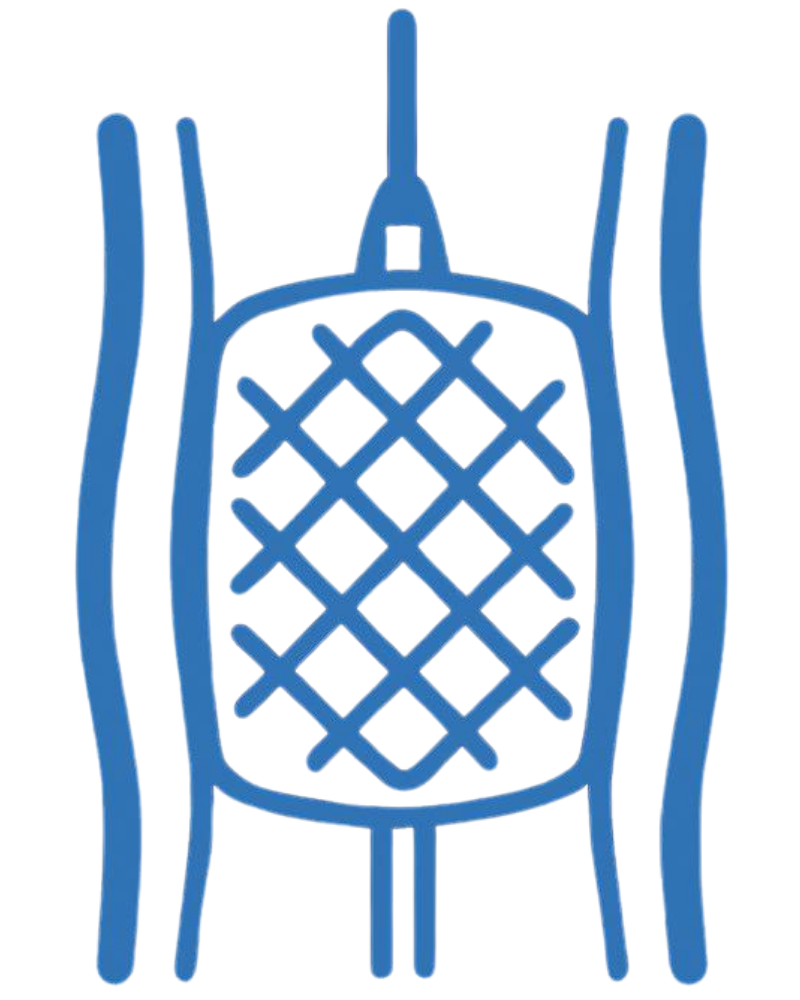 Angioplasty & Stenting