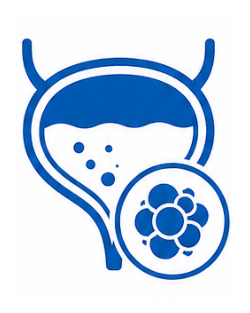 Bladder Treatment