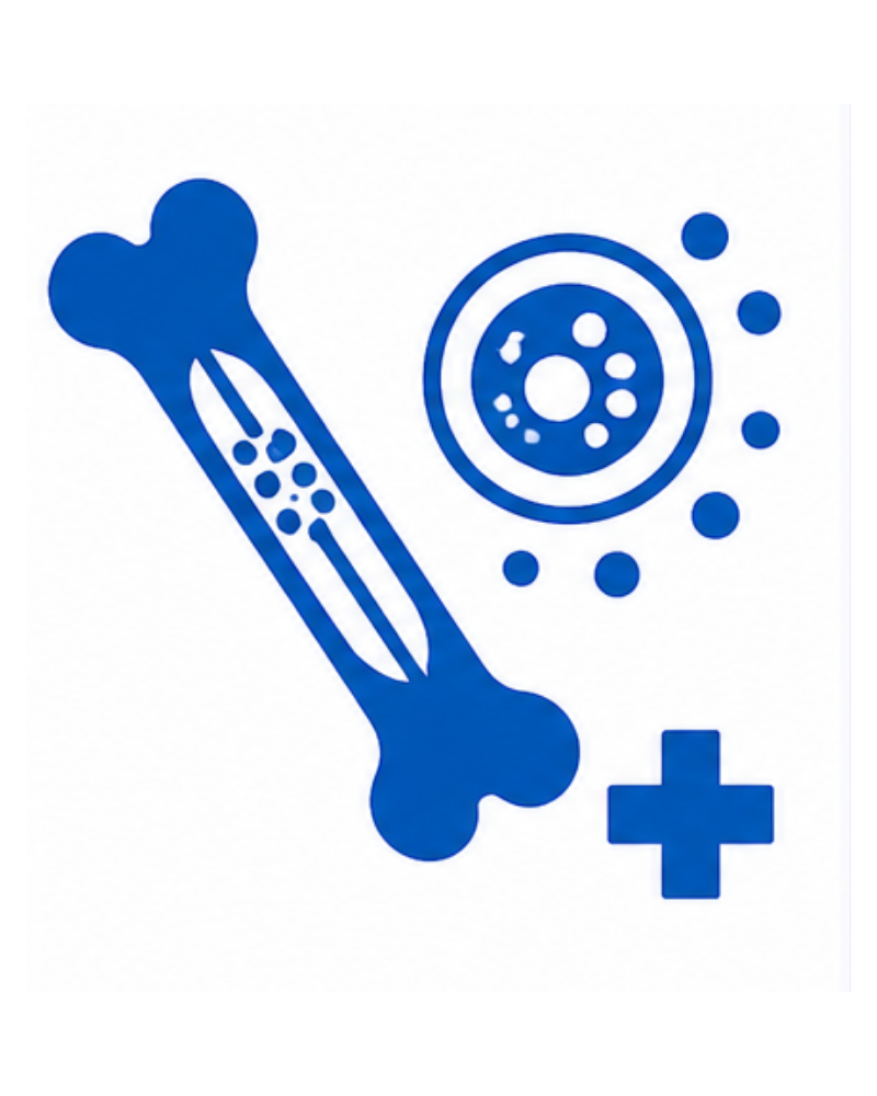 Bone Marrow Transplant (Stem Cell Transplant)