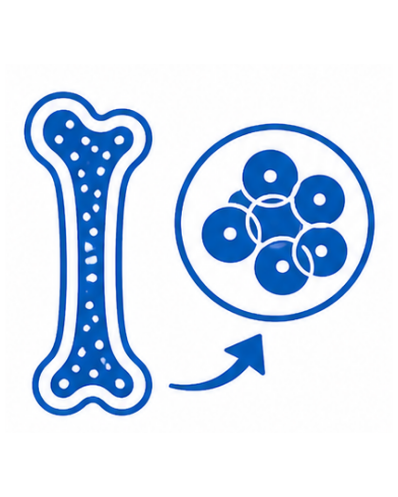 Bone Marrow _ Stem Cell Transplant