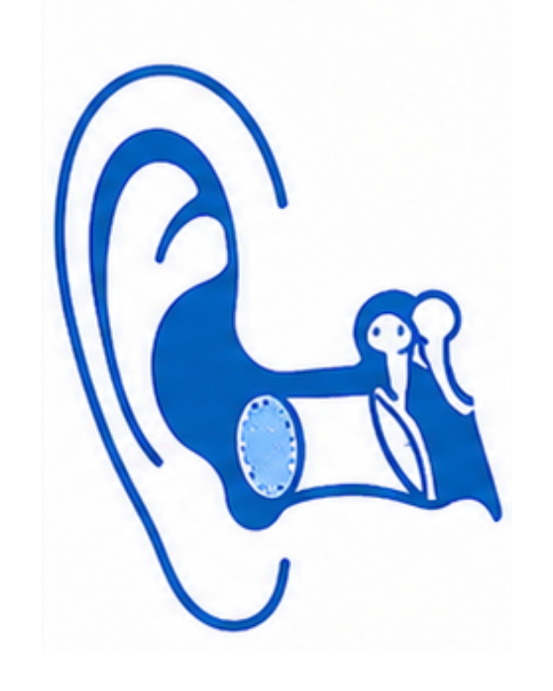 Ear Surgery (Tympanoplasty)
