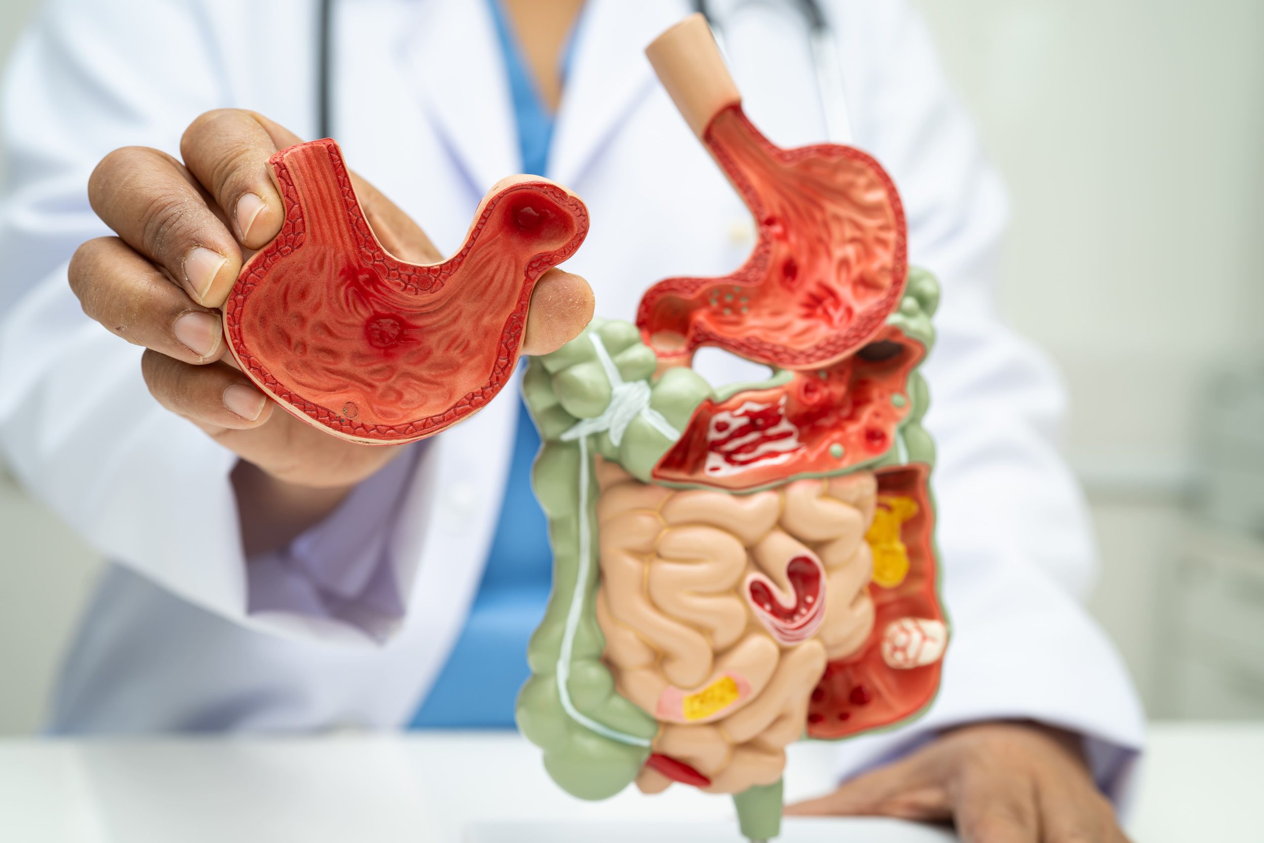 endocrinology