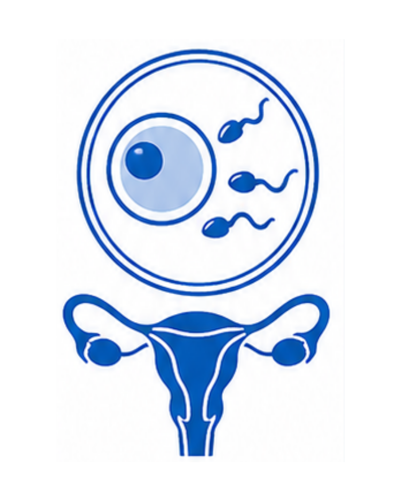 IVF (Invitro Fertilisation)
