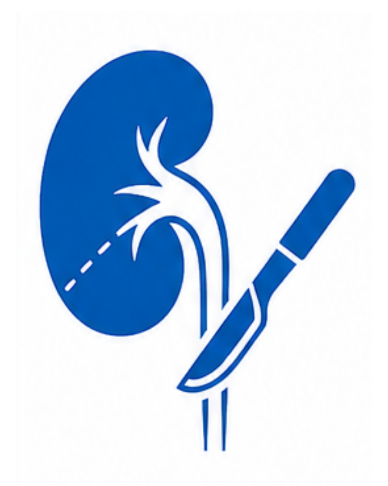 Kidney Surgery