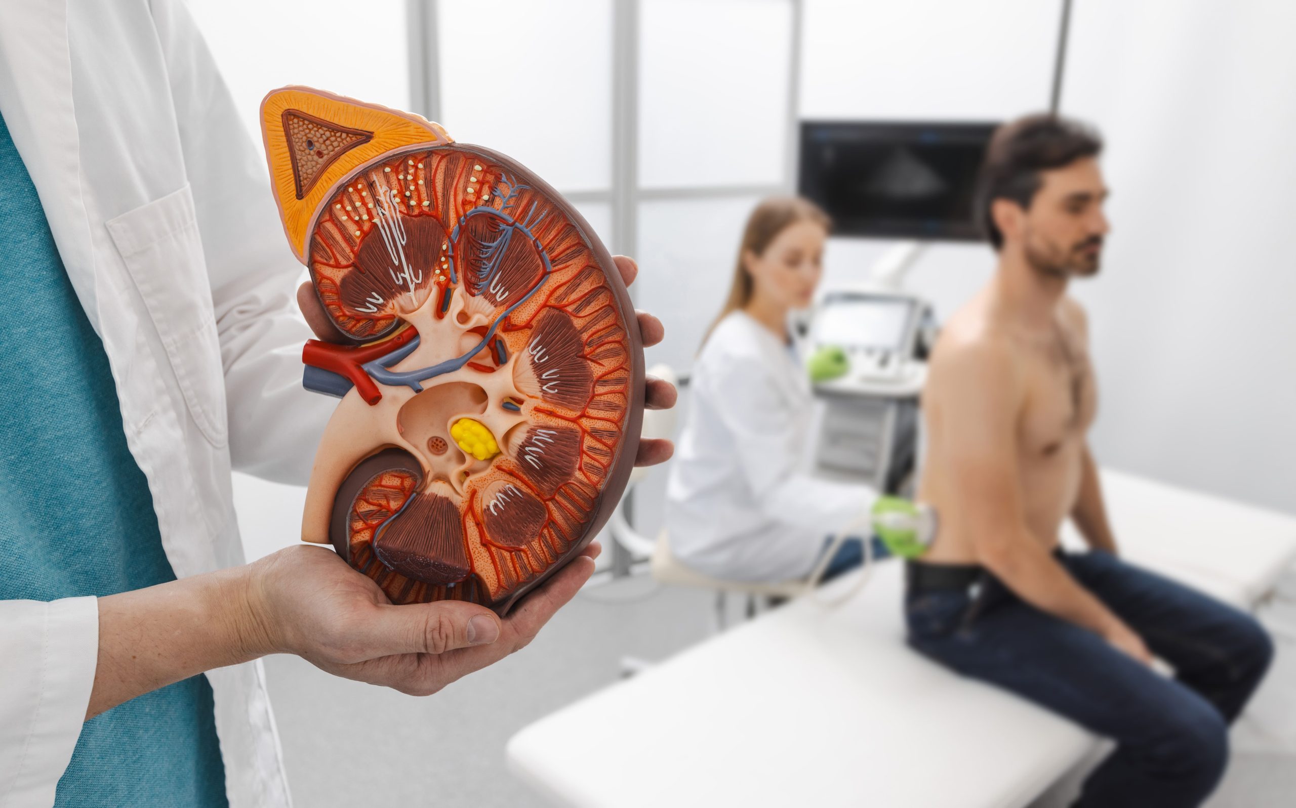 nephrology & urology