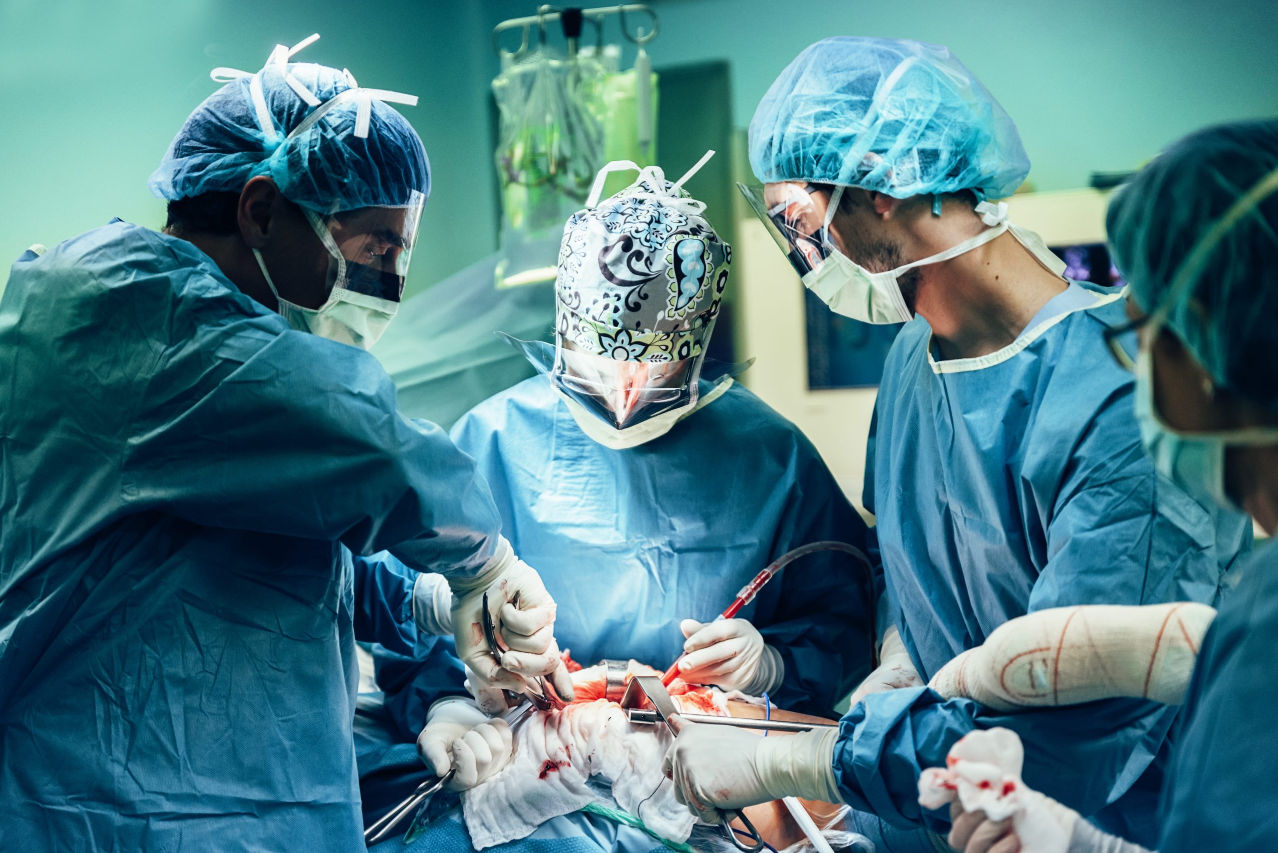 organ transplant