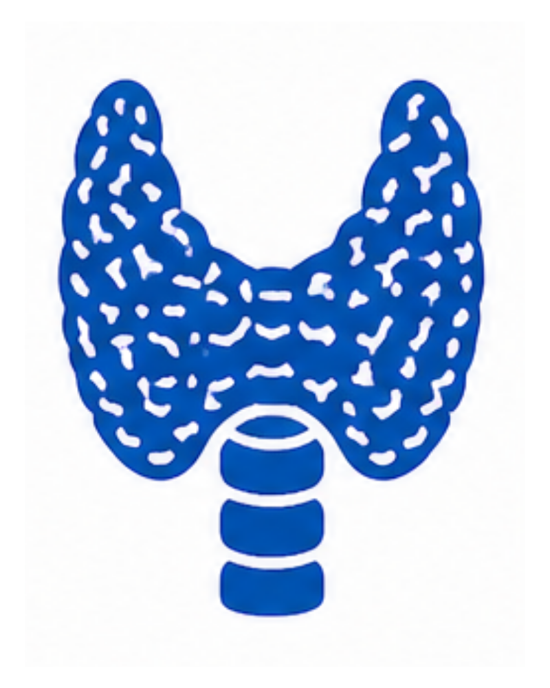 Thyroid Disorder Treatment