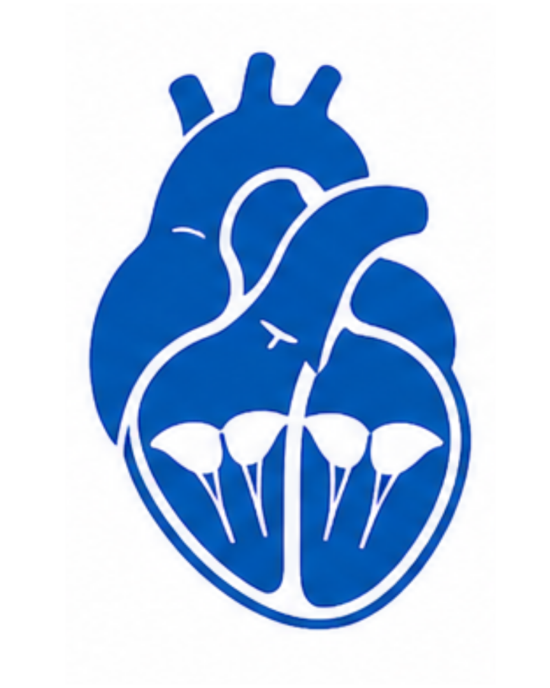 Valve Repair or Replacement_GHB
