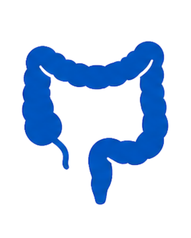 Appendix Surgery