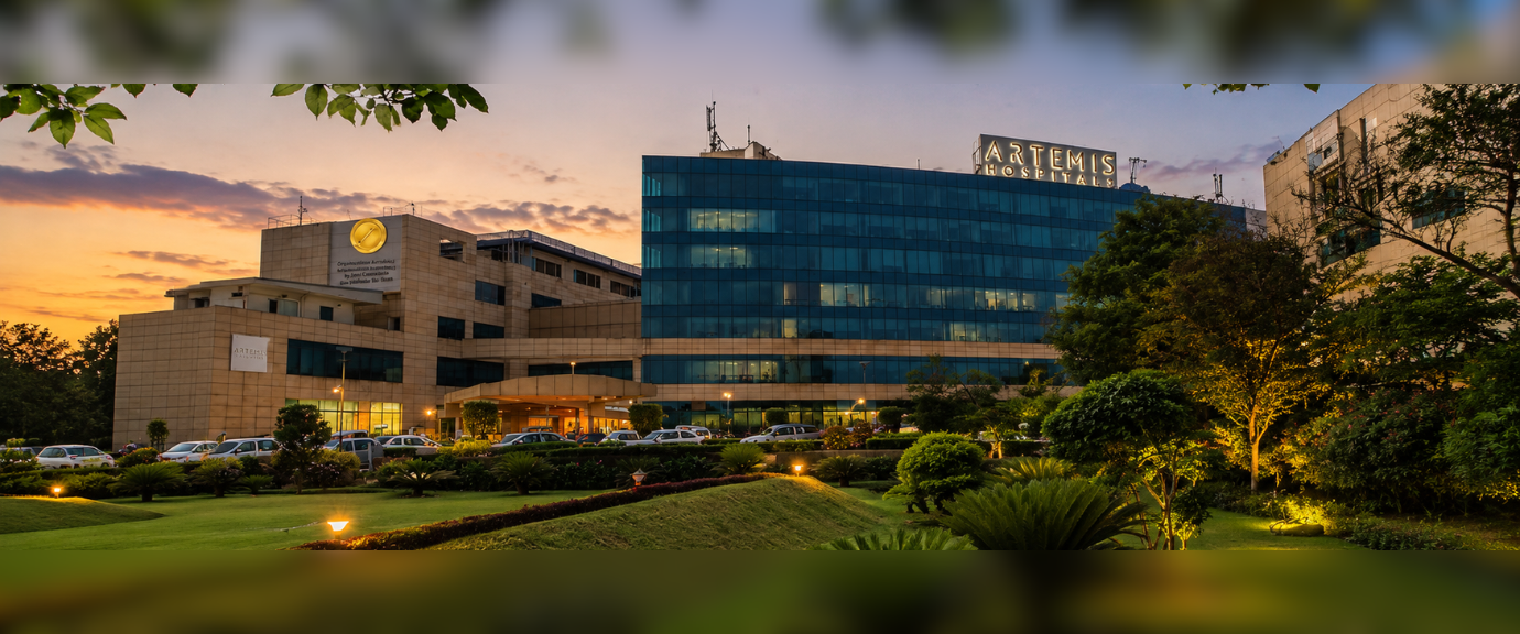 Artemis Hospital