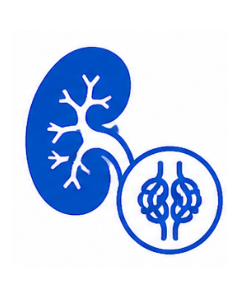 Glomerulonephritis Treatment