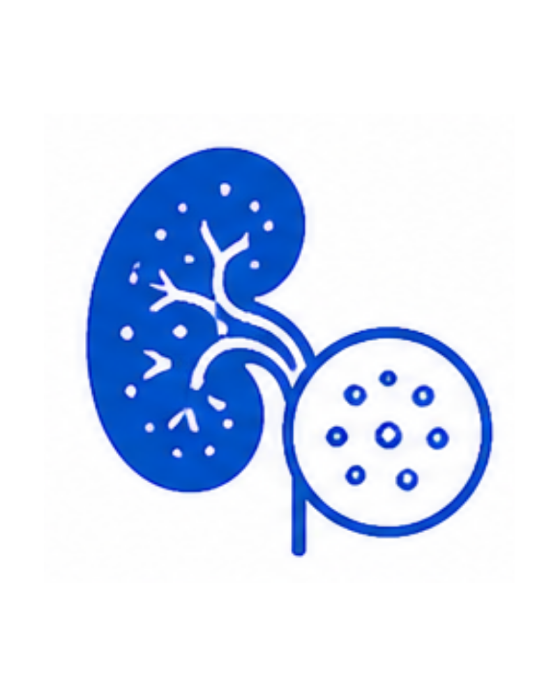 Nephrotic Syndrome Care