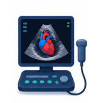 Echocardiography_N