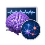 Epilepsy Care