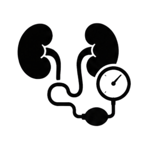 High Blood Pressure Related Kidney Disease