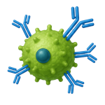 Immunotherapy