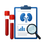 Kidney Function Tests
