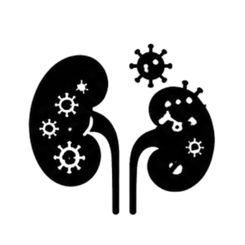 Kidney Infections