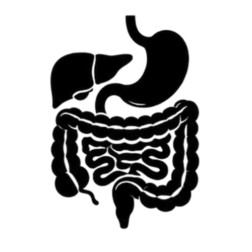 Abdominal Conditions