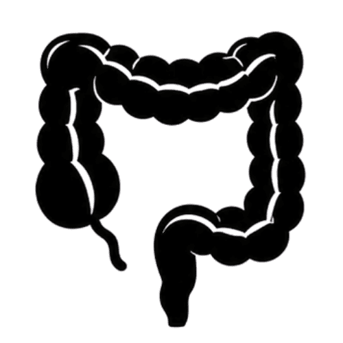 Appendicitis