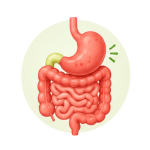 Digestive Issues