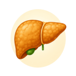 Fatty Liver