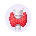 Thyroid Disorders