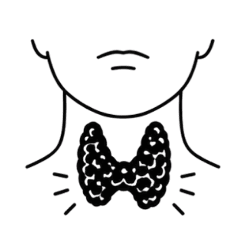Thyroid-related concerns